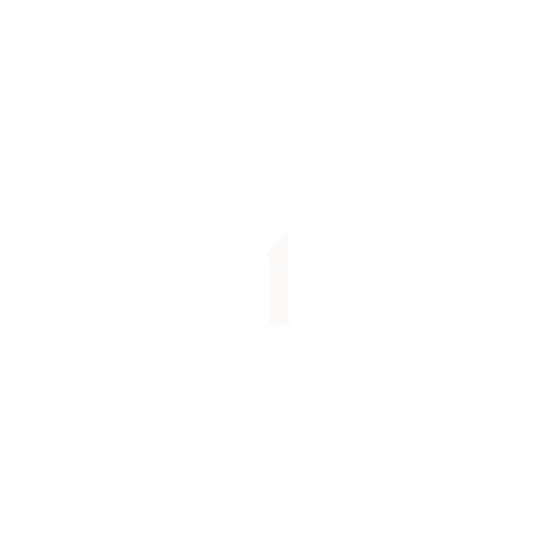 Dollar Tree Construction